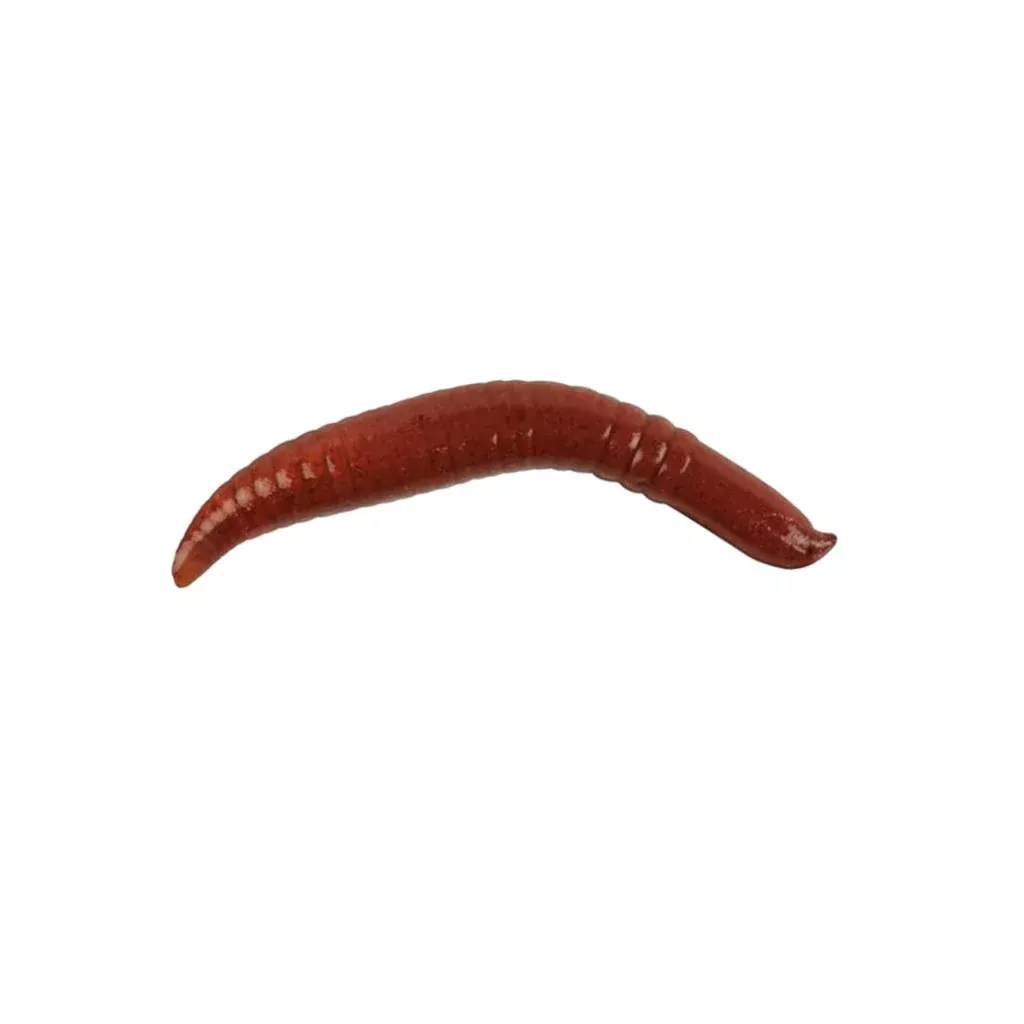 Berkley Gulp Floating Pinched Crawler