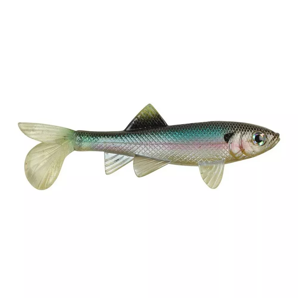 berkley-powerbait-sick-fish Berkley Powerbait Sick Fish