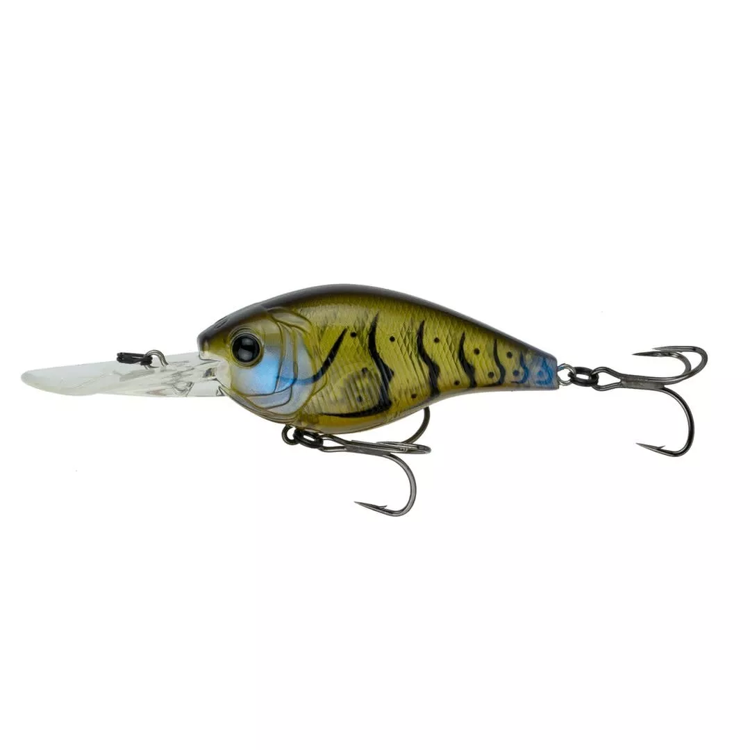 C10 Crankbait