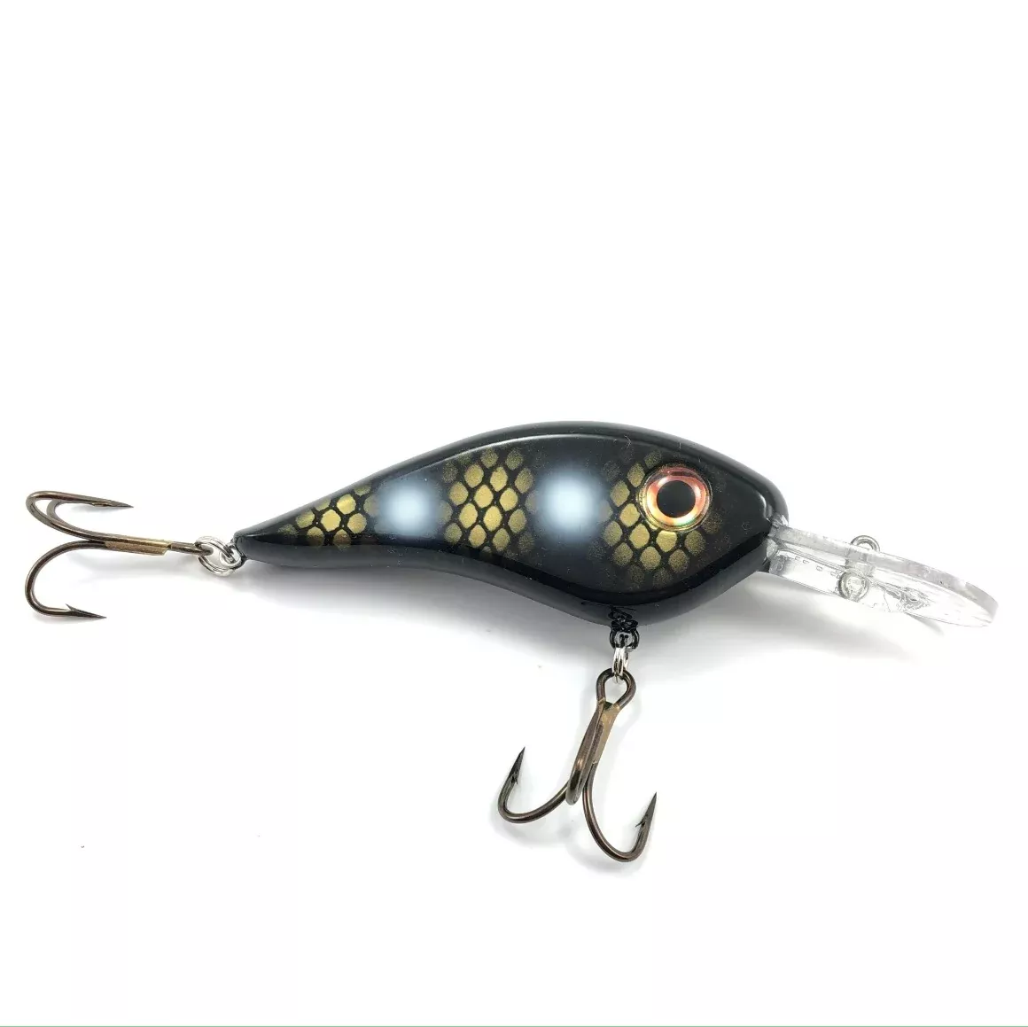 chad-shad Chad Shad