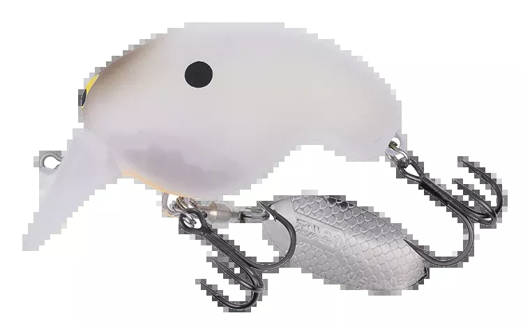 Daiwa Mr. Fortune