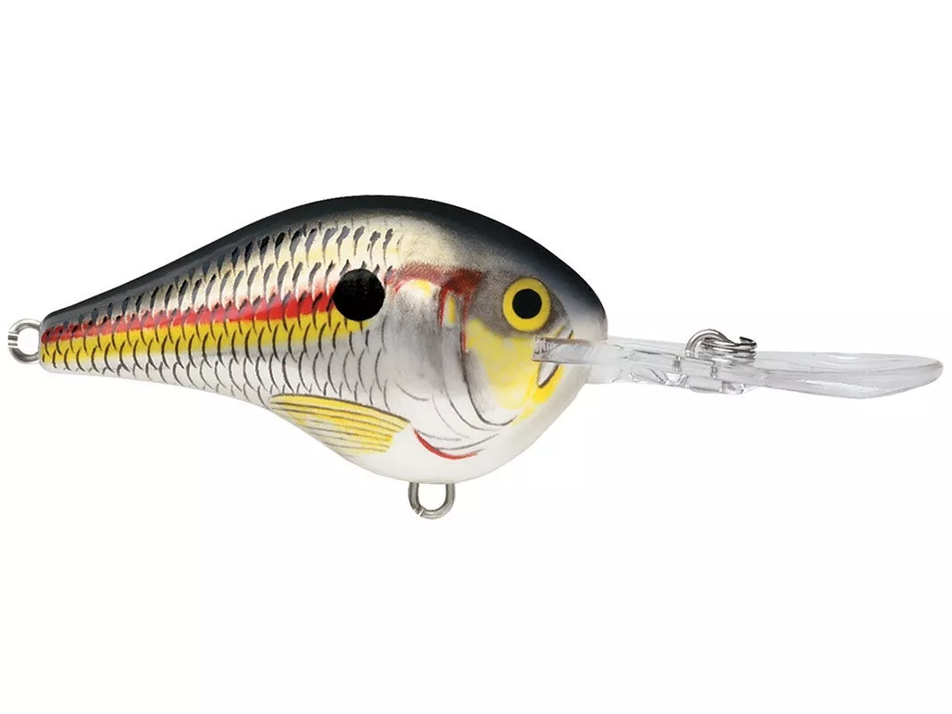 DT6 CRANKBAITS
