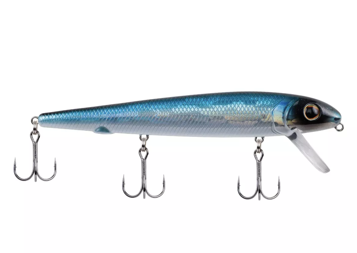 Surge Shad