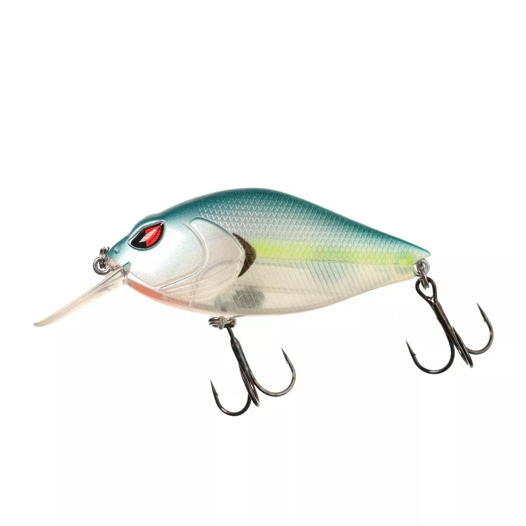 xb-5-crankbait XB-5 Crankbait